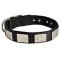 Nylon Dog Collar with Massive Nickel Plates