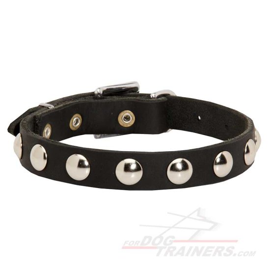Beautiful Leather Dog Collar Decorated with Half-Ball Studs