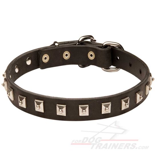 Dog Leather Collar Caterpillar Design