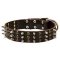 Dog Spikes and Studs Rows Leather Dog Collar