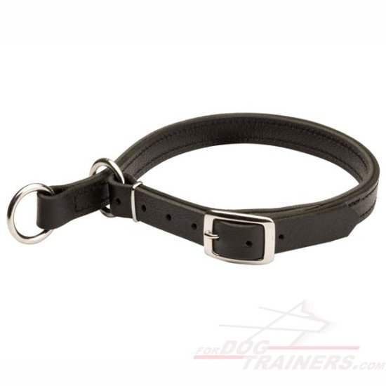 Dog Leather Choke Collar