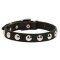 Beautiful Leather Dog Collar Decorated with Half-Ball Studs