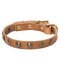 Leather Dog Collar with Brass Half-Ball Studs