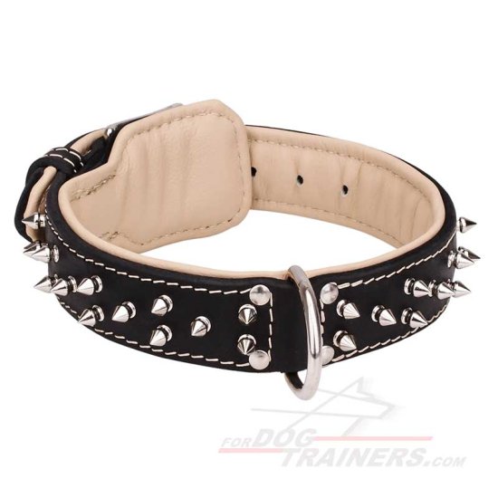 Spiked Dog Collar Padded with Nappa Leather