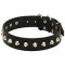 Gorgeous Wide Leather Dog Collar - Fashion Exclusive Design