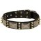 Spiked Leather Dog Collar with Nickel Plates