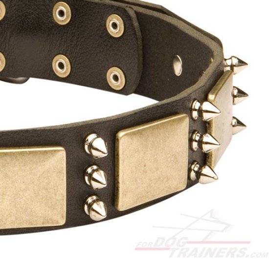 Designer War-Style Leather Dog Collar with Spikes and Plates