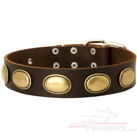 Designer Leather Dog Collar with Oval Plates