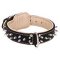 Spiked Dog Collar Padded with Nappa Leather