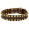 2 Rows Brass Studded Leather Dog Collar for Walking and Training