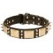 Designer War-Style Leather Dog Collar with Spikes and Plates