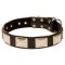 Leather Dog Collar with Large Nickel Plates