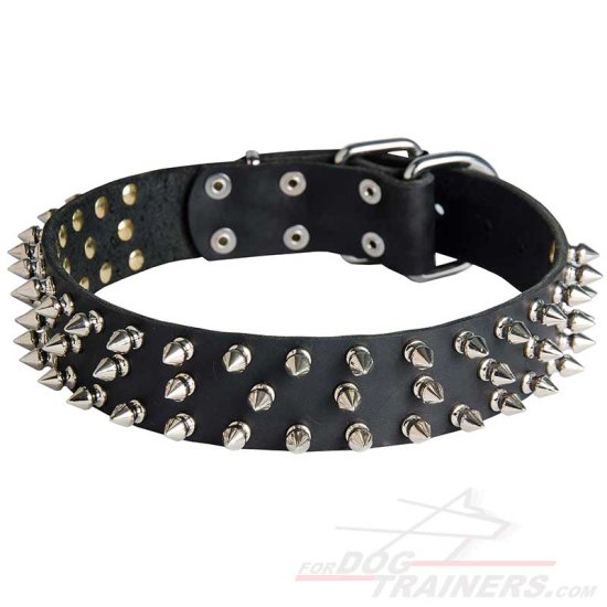 Leather Dog Collar with 3 Rows of Nickel Spikes