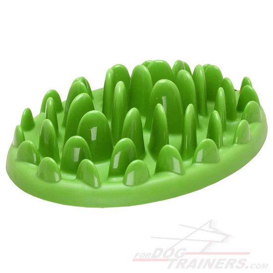 Large "Green Lawn" Slow Plastic Dog Feeder - Click Image to Close