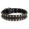 New Leather Dog Collar - Fashion Exclusive Design - "Caterpillar"