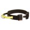 Gorgeous Wide Nylon Dog Collar With Quick Release Buckle and Handle