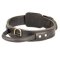 Extra Durable Leather Dog Collar with Handle for Attack Training