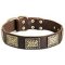 Leather Dog Collar with Massive Brass Plates