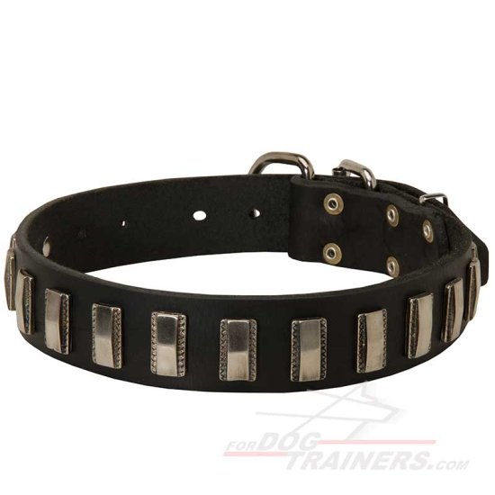 Dog Leather Collar with Shiny Plates