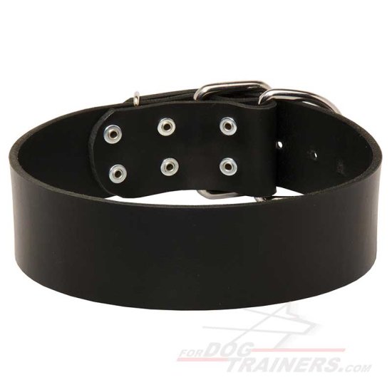 Extra Wide Leather Dog Collar for Professional Training