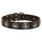 Leather Dog Collar with Blue Stones for Stylish Walking