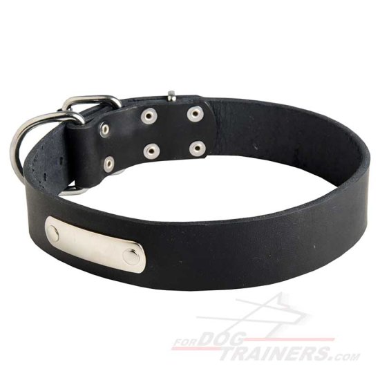 Classic Leather Dog Collar with Identification Tag