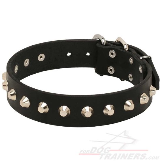 Gorgeous Wide Leather Dog Collar - Fashion Exclusive Design