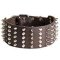 Dog Leather Collar Spiked and Studded