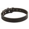 Leather Dog Collar for Pleasant Wearing