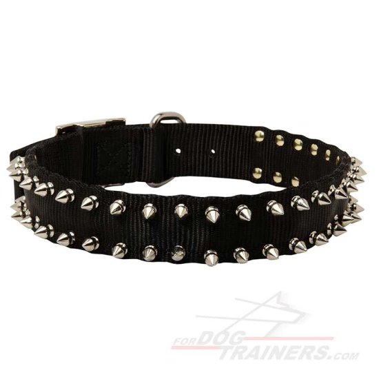 Dog Nylon Collar Spiked