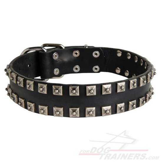 New Leather Dog Collar - Fashion Exclusive Design - "Caterpillar"