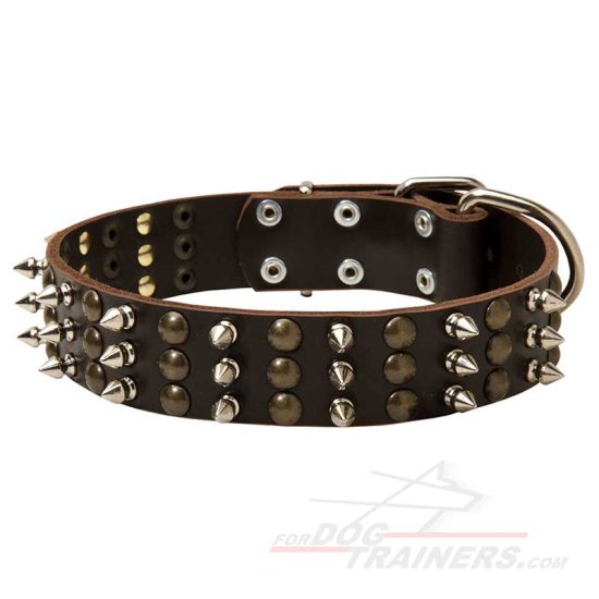 Dog Spikes and Studs Rows Leather Dog Collar