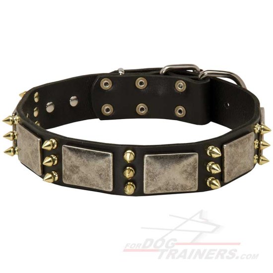 Spiked Leather Dog Collar with Nickel Plates