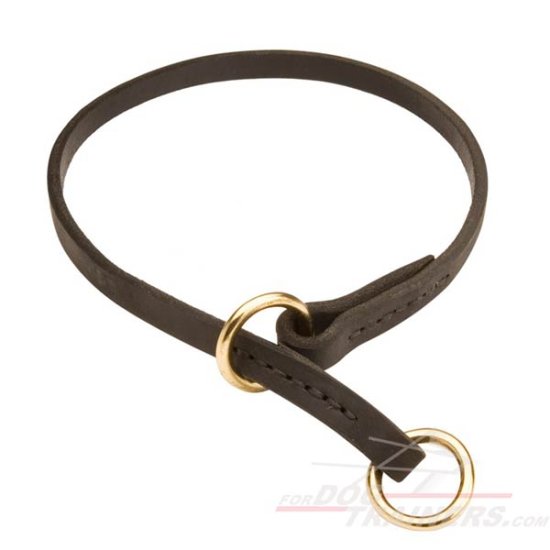 Dog Choke Collar for Effective Training
