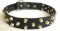 Fancy Design Leather Dog Collar with Nickel Pyramids