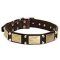 Leather Dog Collar with Studs and Plates