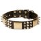 Spiked Leather Dog Collar with Plates and Cones