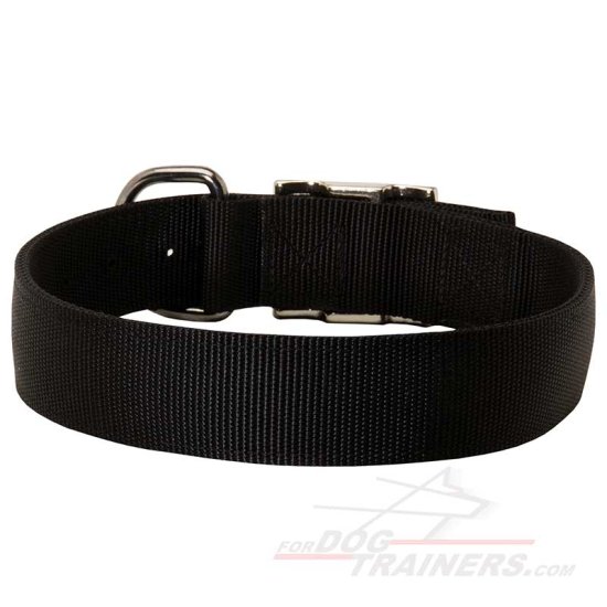 2 Ply Nylon Dog Collar