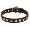 Dog Leather Collar Caterpillar Design
