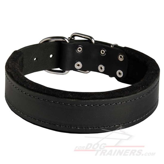 Dog Durable Padded Leather Collar 40 mm