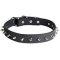 Dog Leather Collar Spiked 30 mm