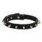 Dog Leather Collar Spiked 3/4 Inch