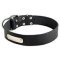 Classic Leather Dog Collar with Identification Tag