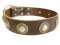 Leather Dog Collar Decorated with Silver Conchos