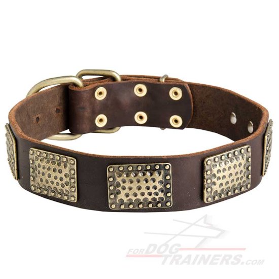 Leather Dog Collar with Massive Brass Plates - Click Image to Close