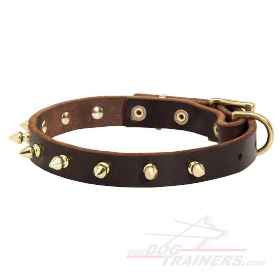 Walking Designer Leather Dog Collar with Brass Spikes