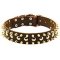 Spiked and Studded Dog Leather Collar