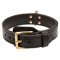 Training 2 Ply Leather Dog Collar