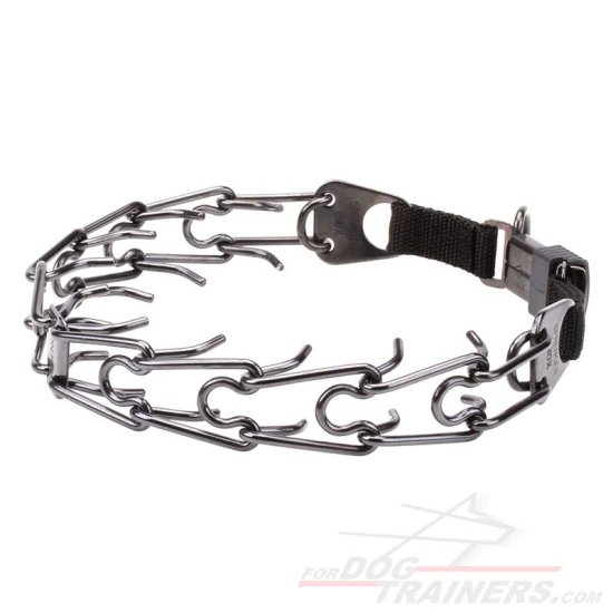 Black Stainless Steel Dog Pinch Collar with Click Lock Buckle and 4 mm Prongs