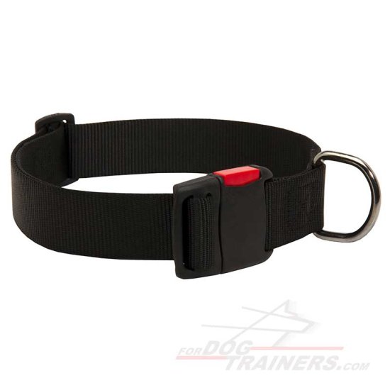 Any-Weather Nylon Dog Collar With Quick Release Buckle for Training and Walking